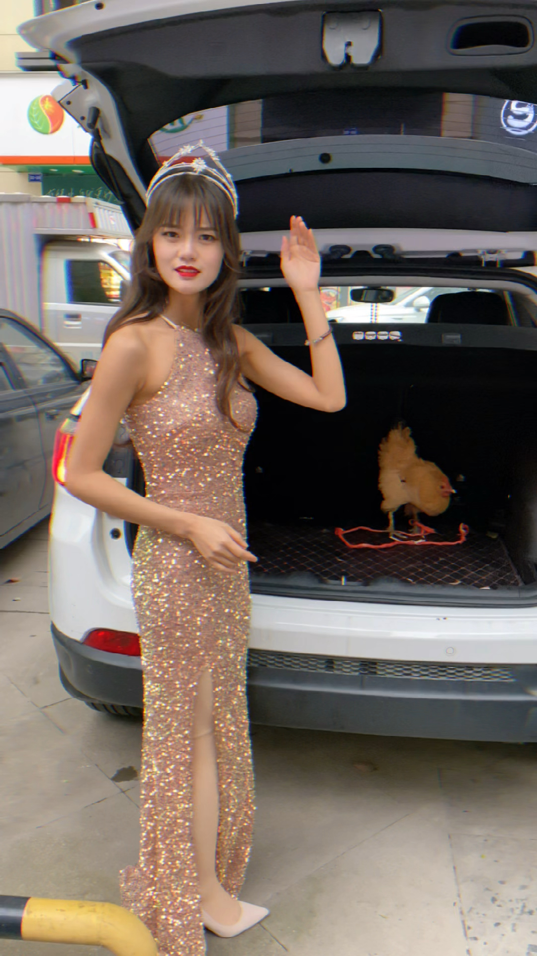 #搞笑段子剧#我说的母鸡呀是这个母鸡吗?