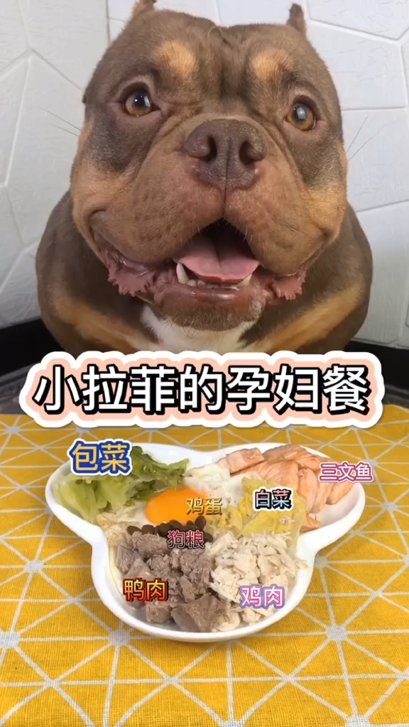 今天的比较丰富