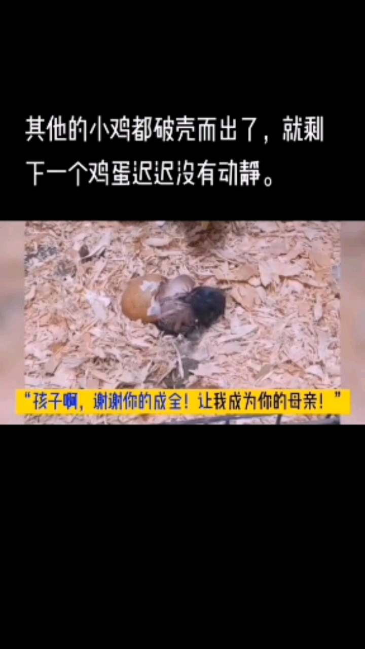 来自母亲的呼唤,可以产生巨大的能量