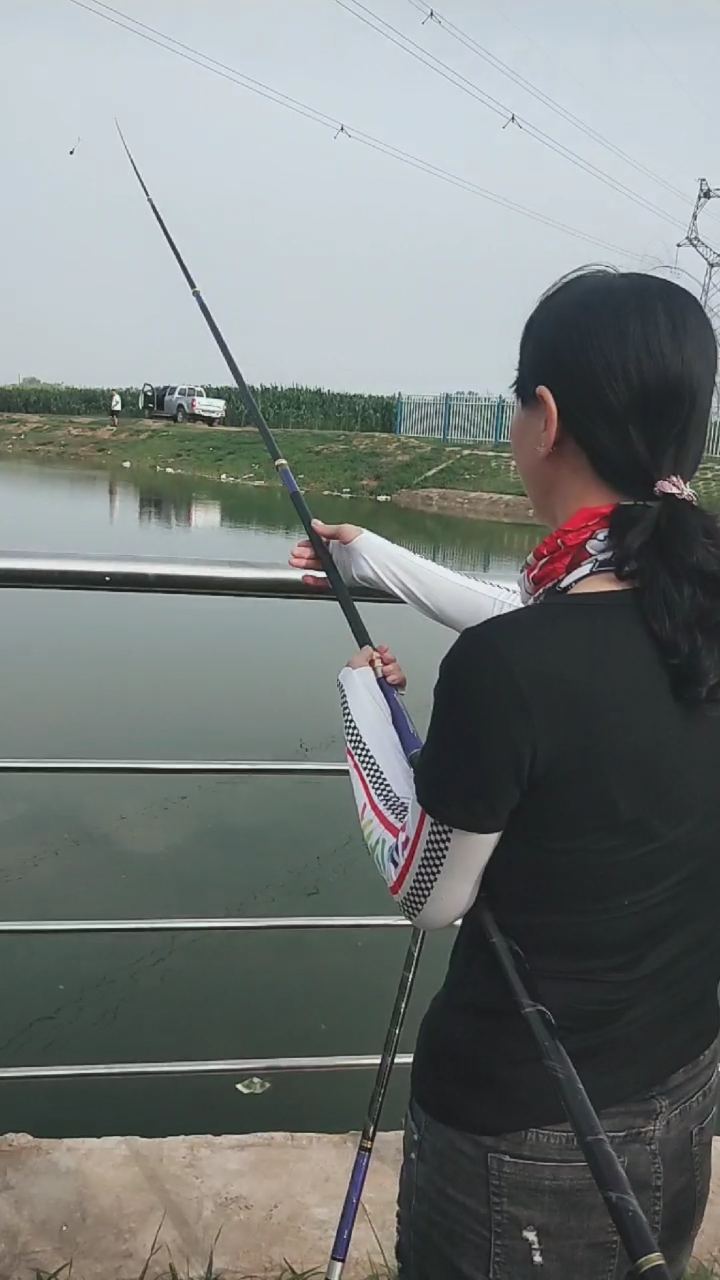 #中通内走线#一竿多用五定位,江河湖库一竿搞定