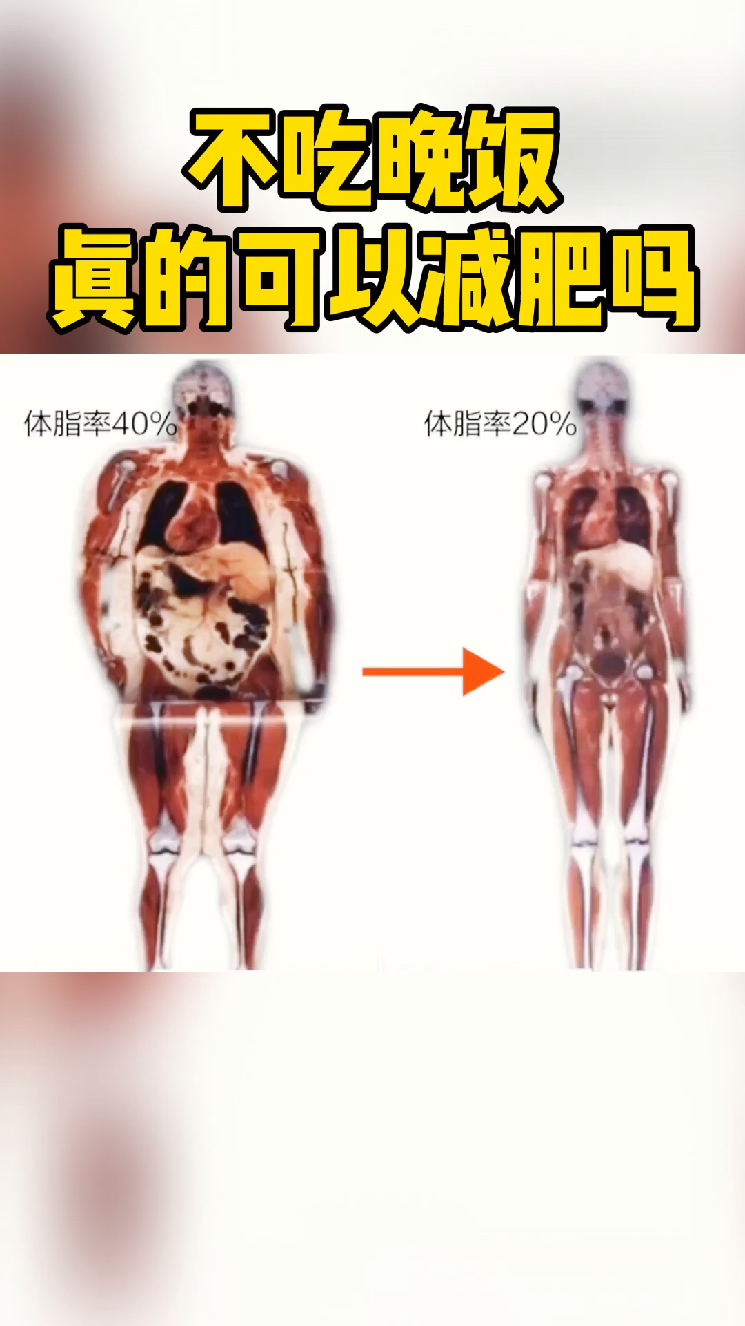 #瘦身减肥#不吃晚饭，真的可以减肥吗