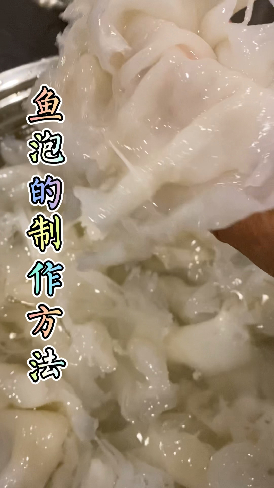鱼泡的发制过程来了