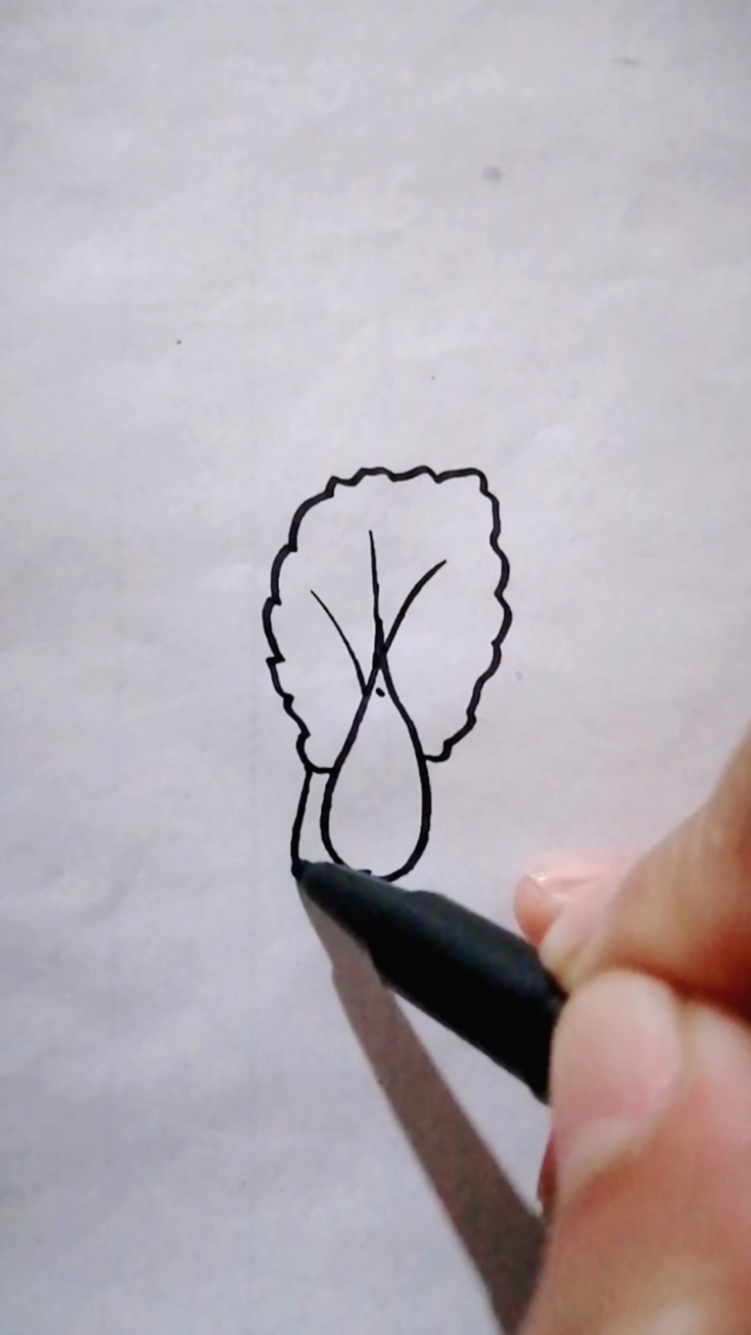大白菜简笔画