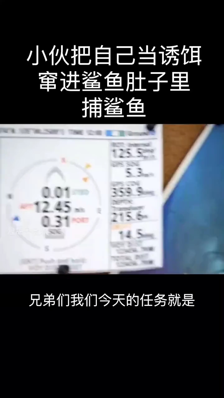 #搞笑段子剧#老外捕鲨鱼#搞笑#搞笑配音#搞笑视频