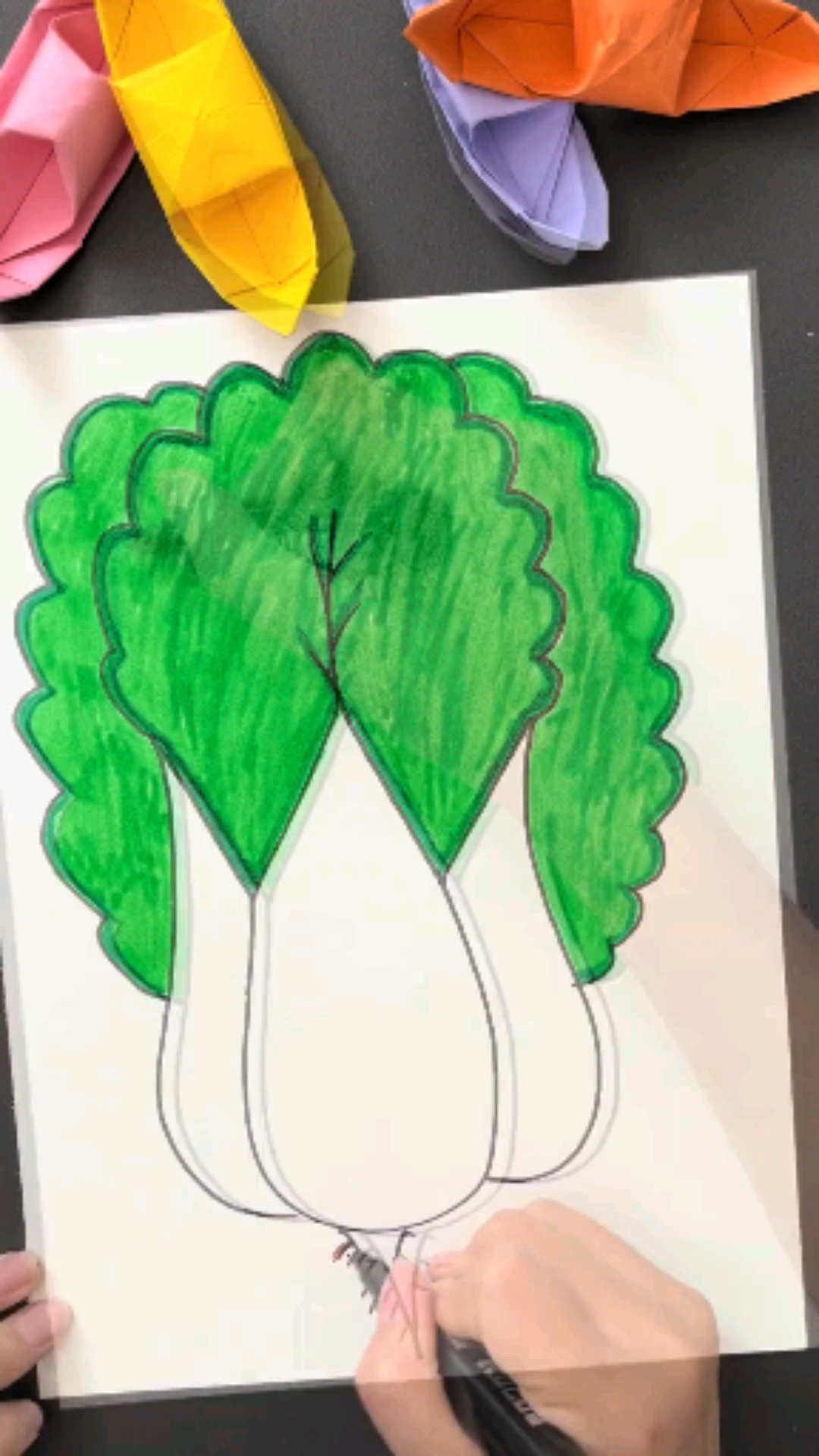 教你用一个字母W画出大白菜,学不会你打我#简笔画#绘画#教程#一起画画