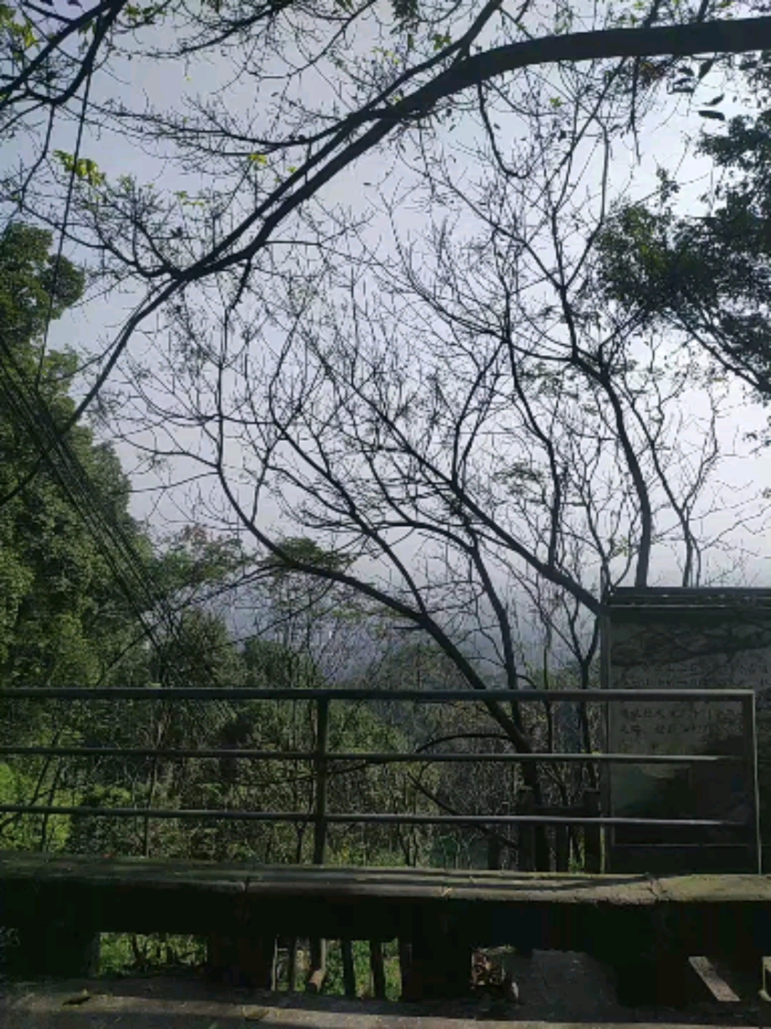 #音为有你#这家林中乐辣子鸡差不多有30年了