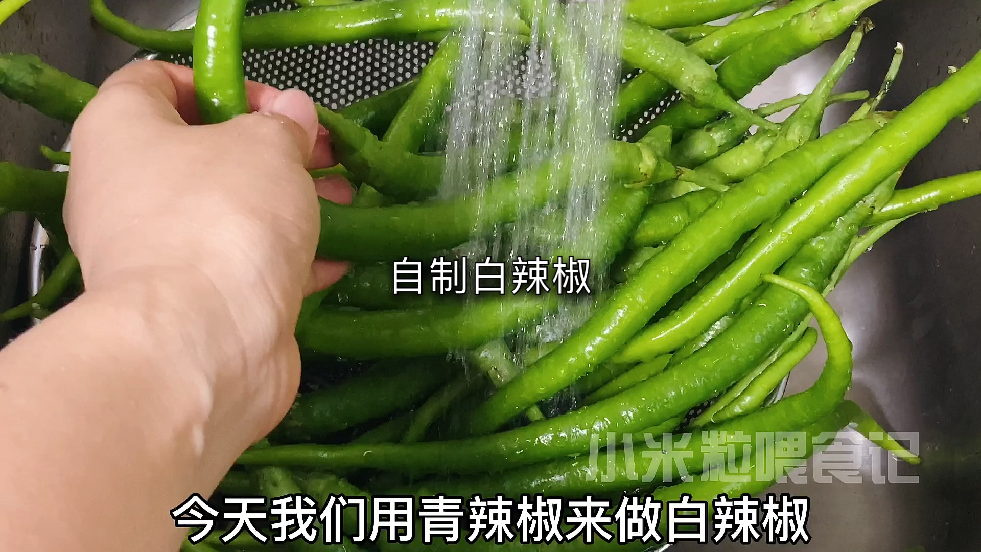 #家乡特色美食#湖南金典美食,白辣椒。一把青辣椒就能做