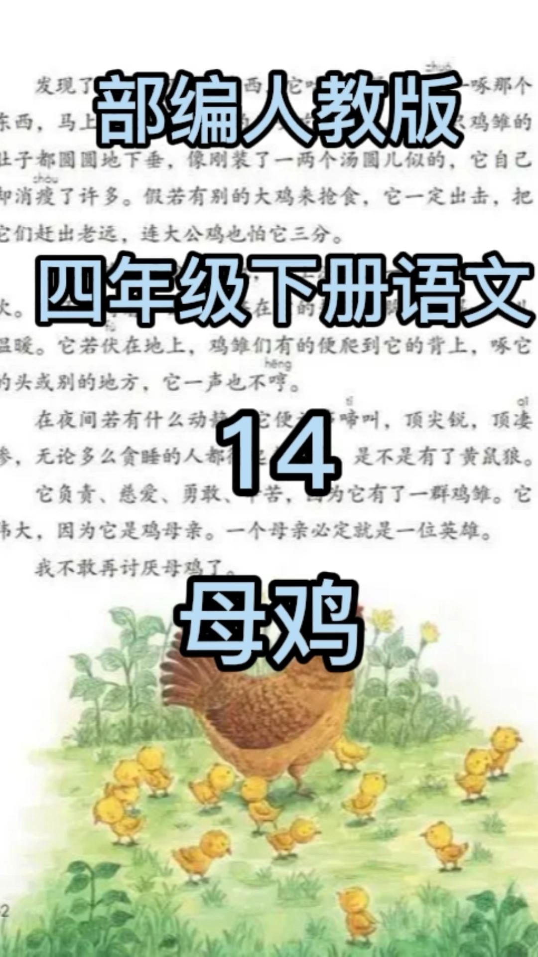 #爱的魔力转圈圈#部编人教版四年级下册语文第十四课《母鸡》