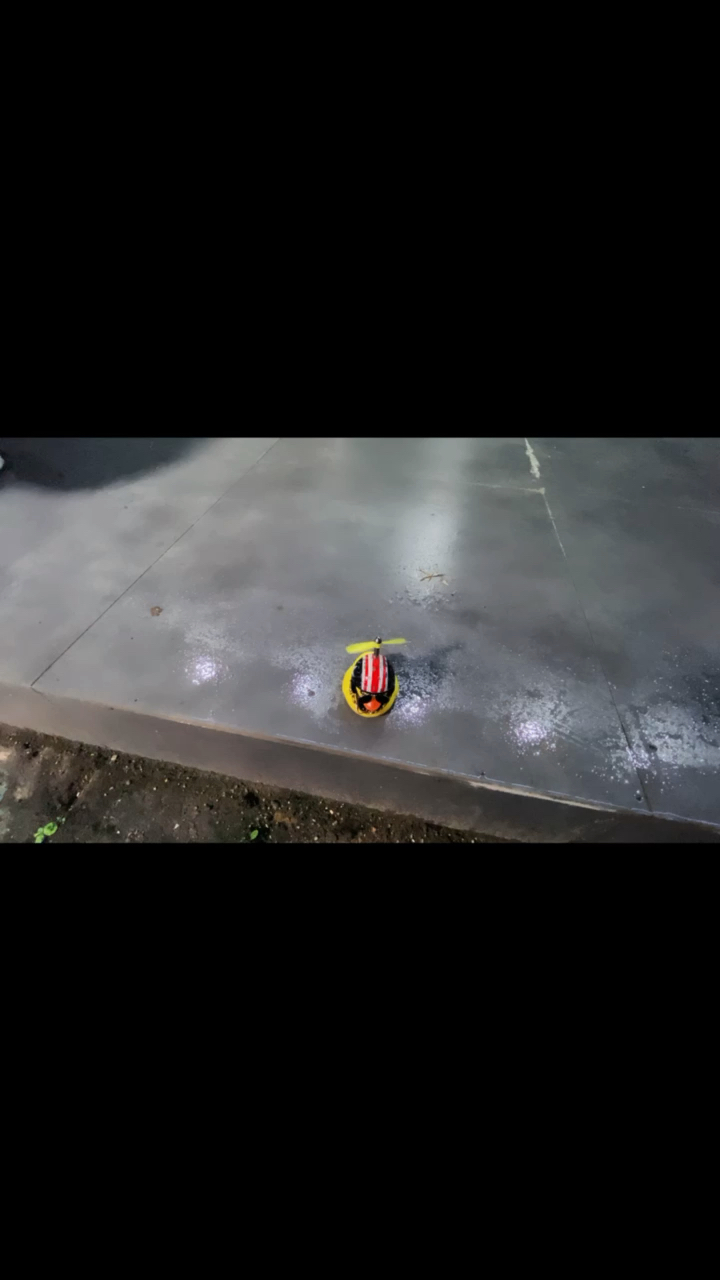 你看过大鱼海棠吗?
