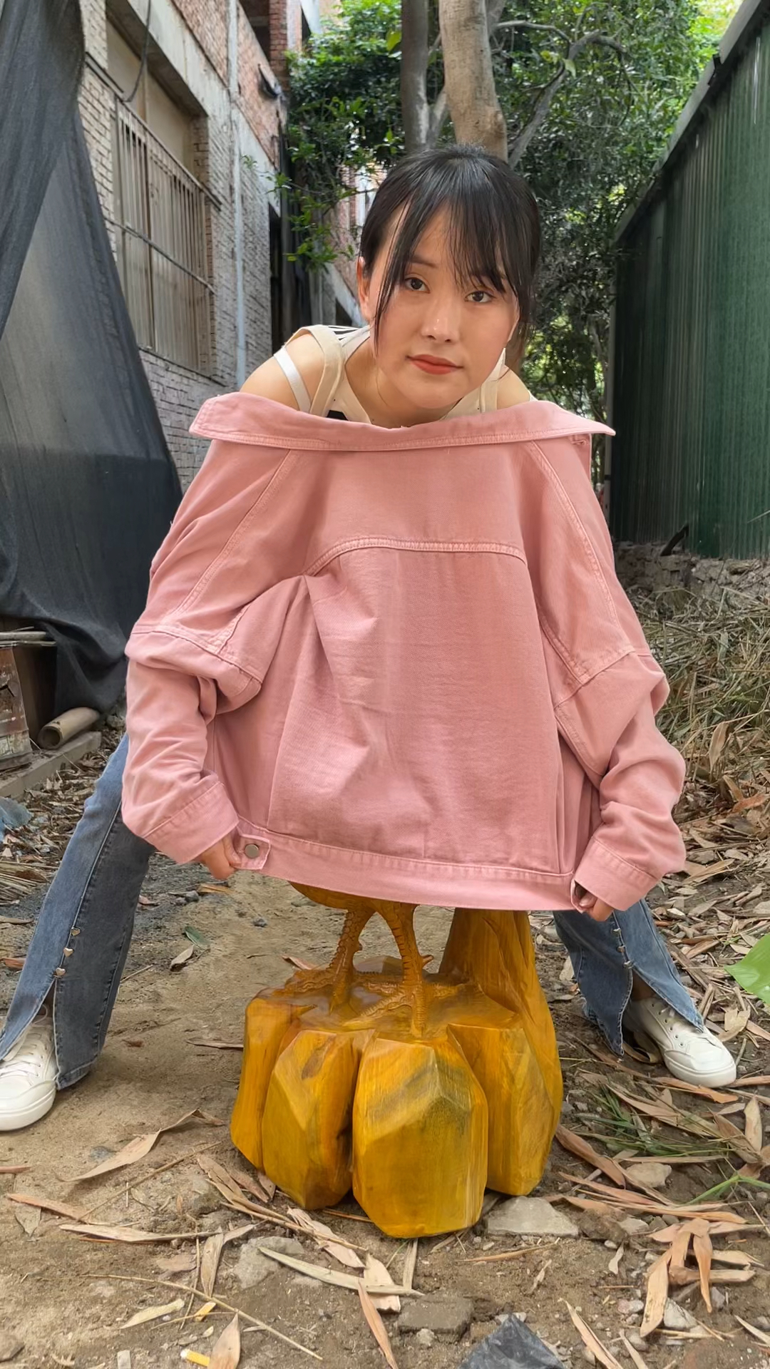 金鸡报晓,一鸣惊人