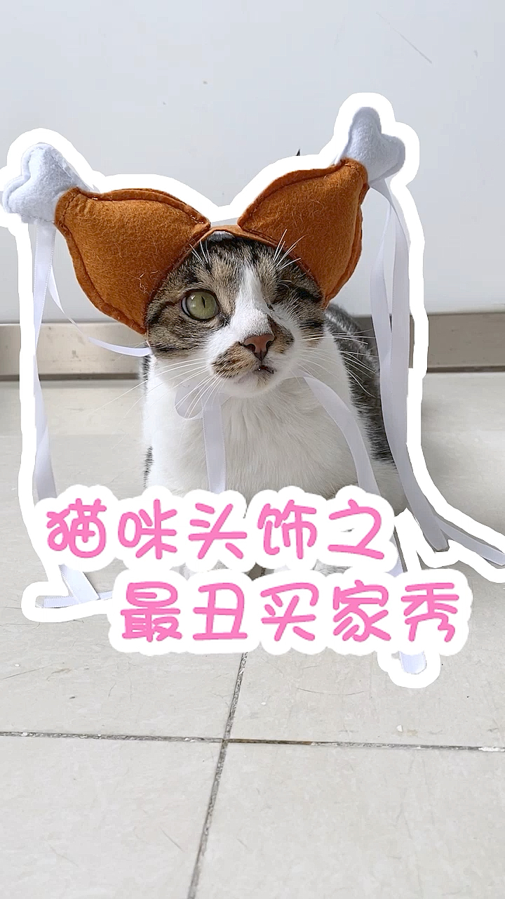 #家有萌宠#为什么我家猫戴头套和别人家的都不一样呢?