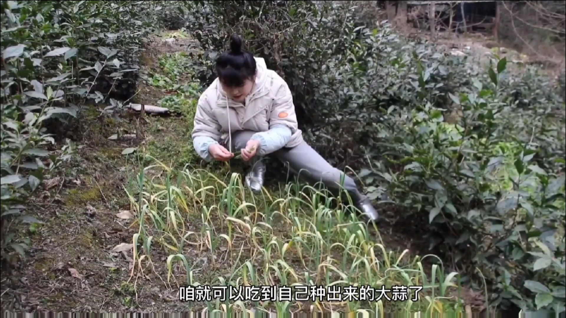 #过好冬天#山居生活:晚饭时间,蒸的米饭,小芋头和鸡蛋,还有干炸带鱼和炒莴笋,满足(二)