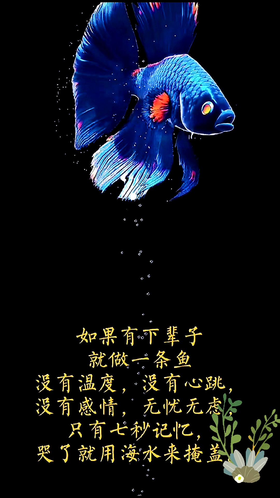 下辈子做一条鱼丨下辈子就做一条鱼,只有七秒的记忆,哭了就用海水来掩盖。