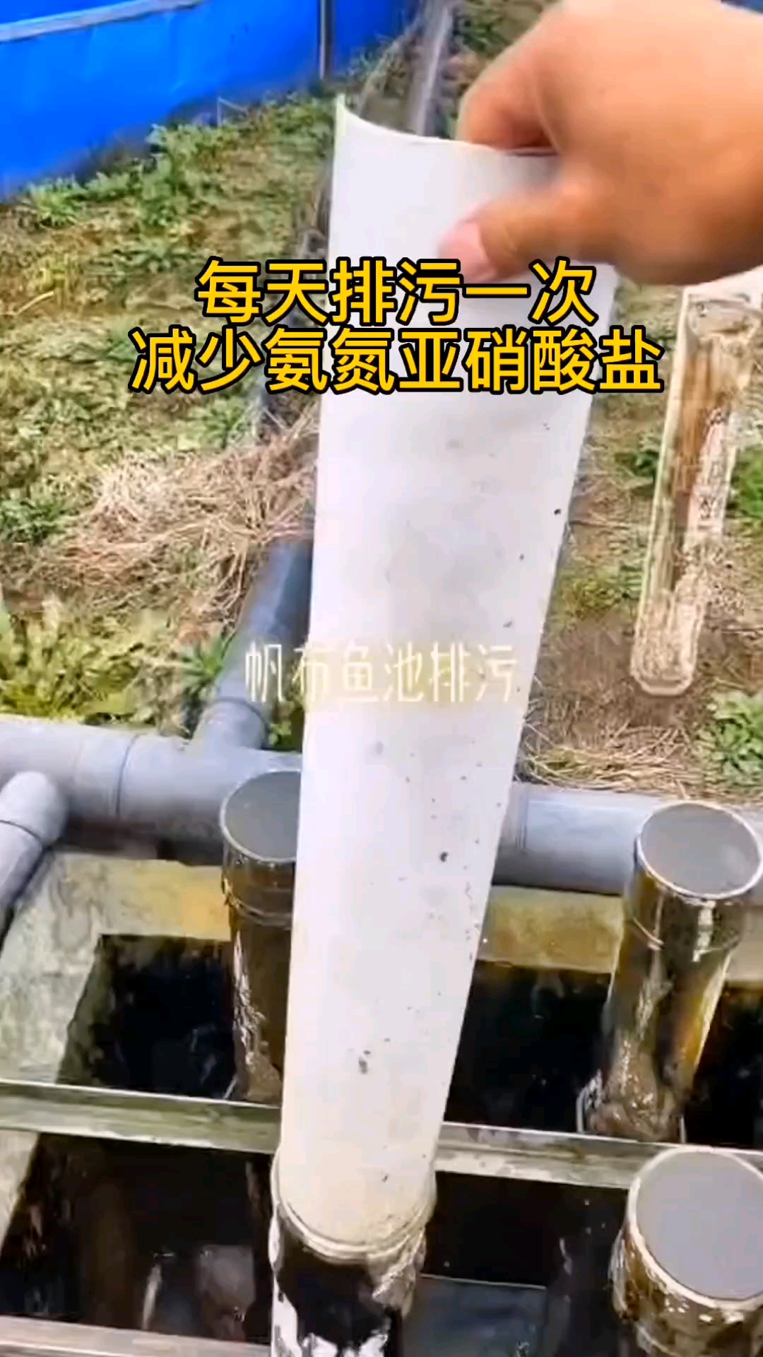 #养鱼#镀锌板帆布鱼池排污效果!