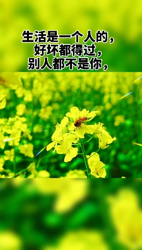 #情感语录#情感壁纸文字,喜欢的看过来,图片自己选