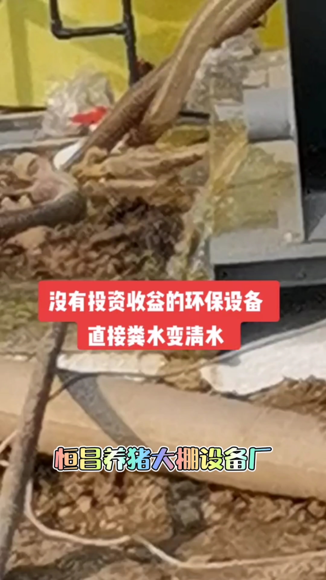 #养猪场#养猪场猪粪处理设备!猪粪污水直接变成清水!轻松解决养猪场粪污问题!