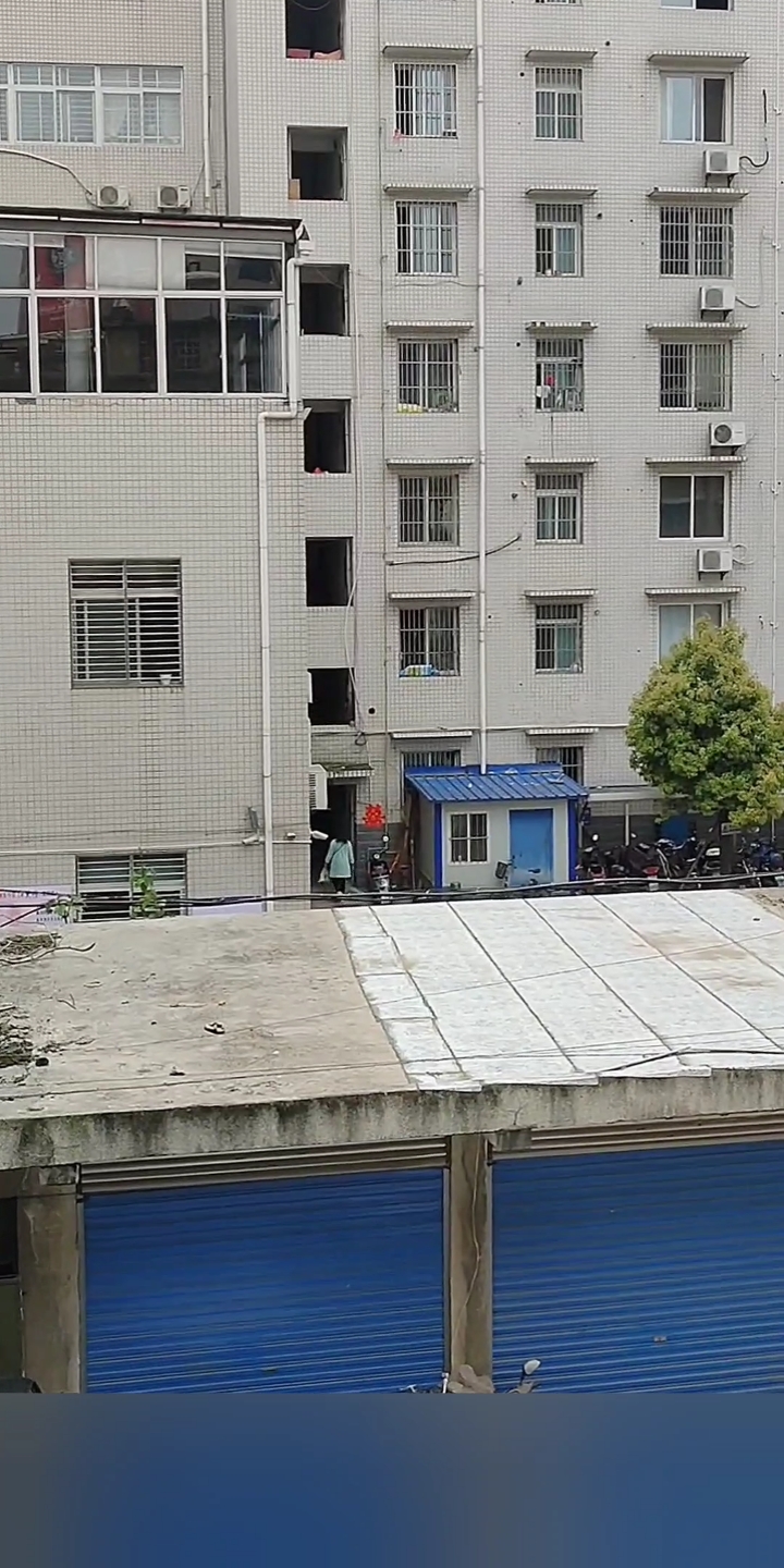 一头猪与一棵白菜偶遇,故事便由此开始了。。