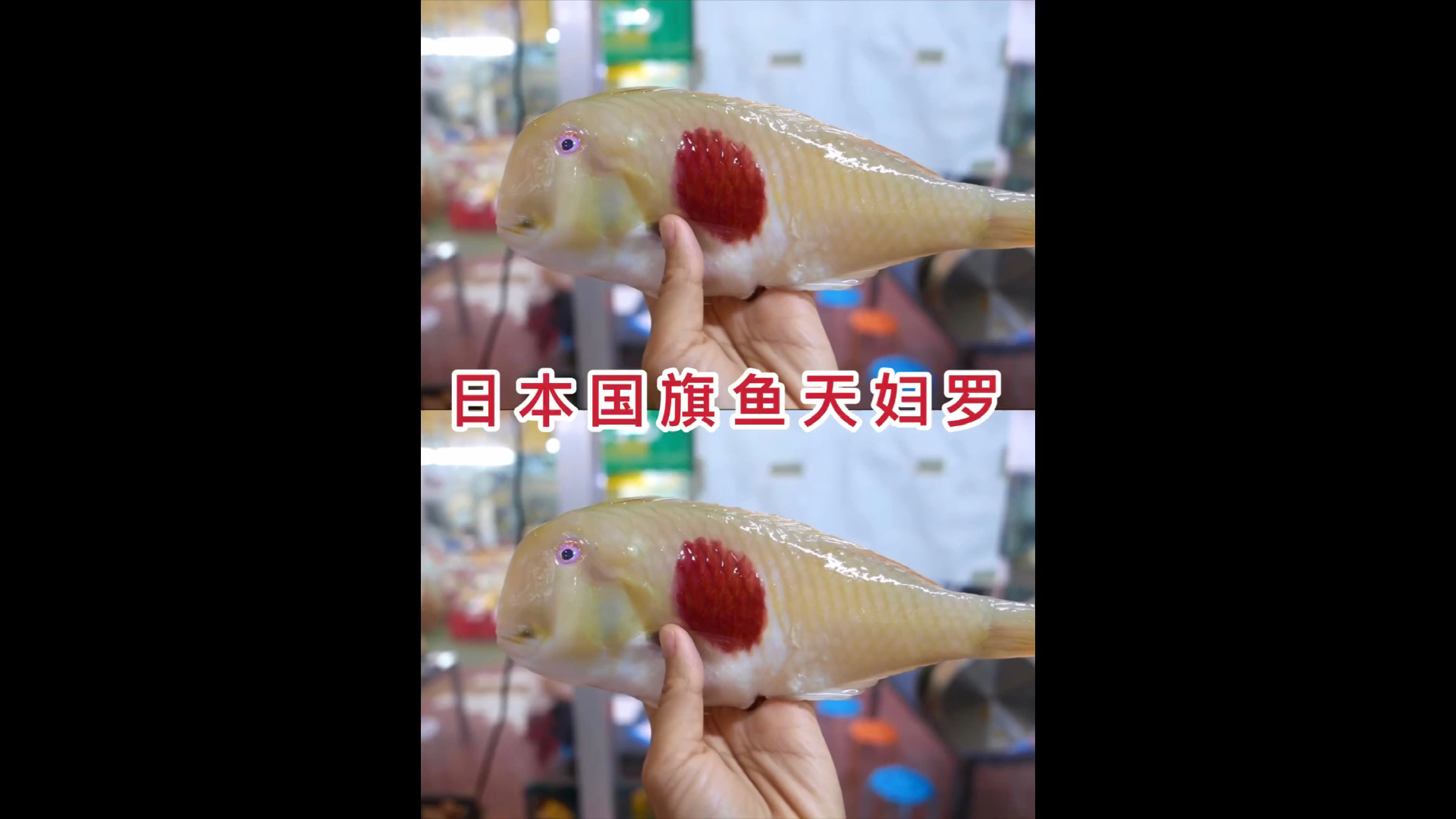 #日本料理美食#日本国旗鱼天妇罗