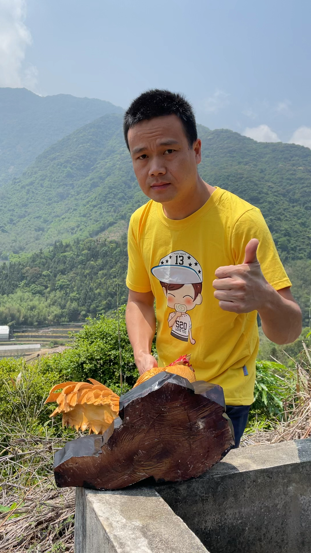 大公鸡