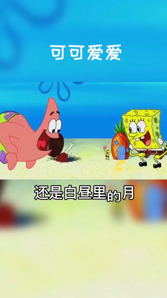 #海绵宝宝派大星#章鱼哥表示,这俩货住房子把我埋了干啥?
