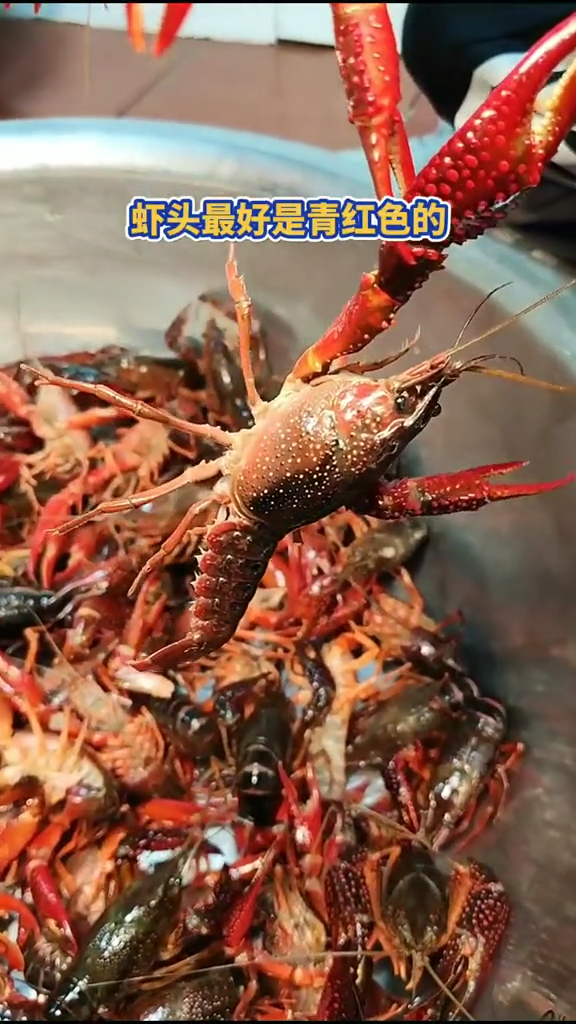#爱美食爱生活#原来吃小龙虾还有这么多说道,你知道嘛?