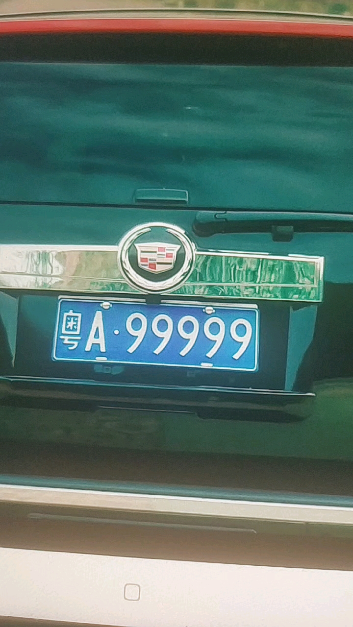 #好看电影#美人鱼7
