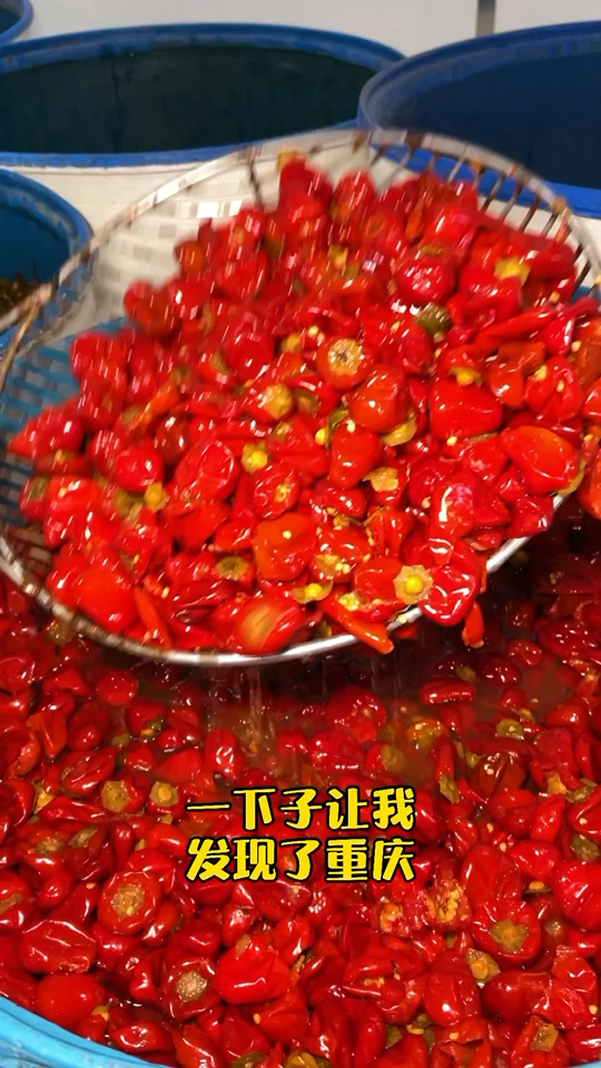 重庆餐饮老板的秘密被我发现了
