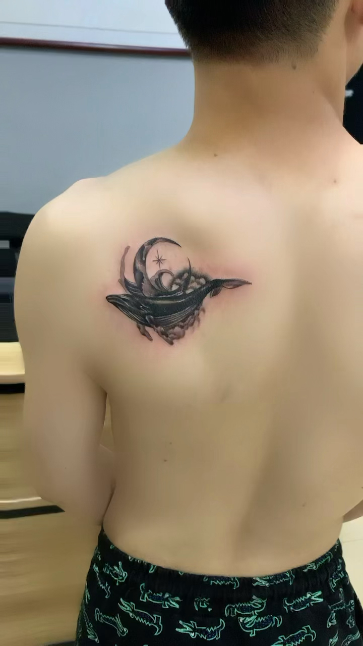 鲸鱼纹身#肩胛骨纹身#吴江酷客纹身#吴江哪里有纹身店