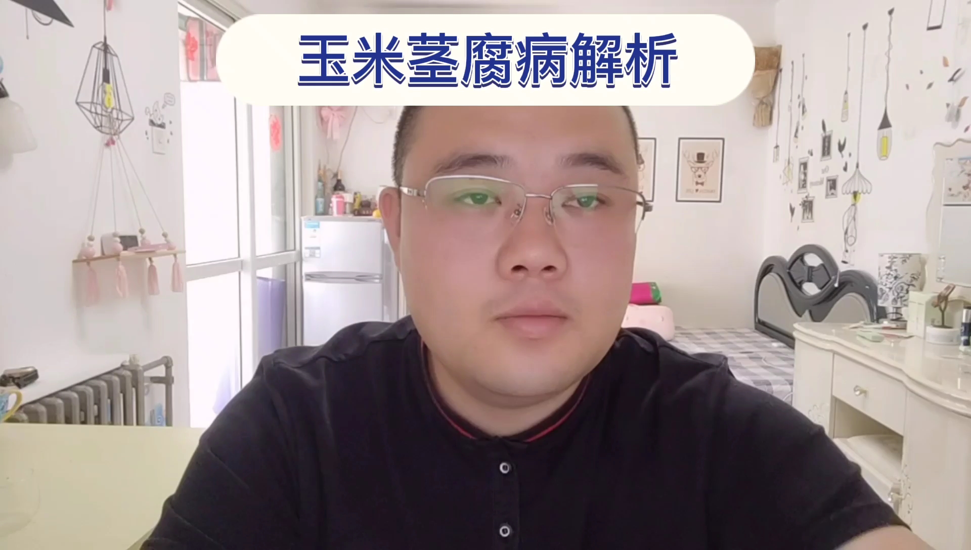 玉米茎腐病防治。