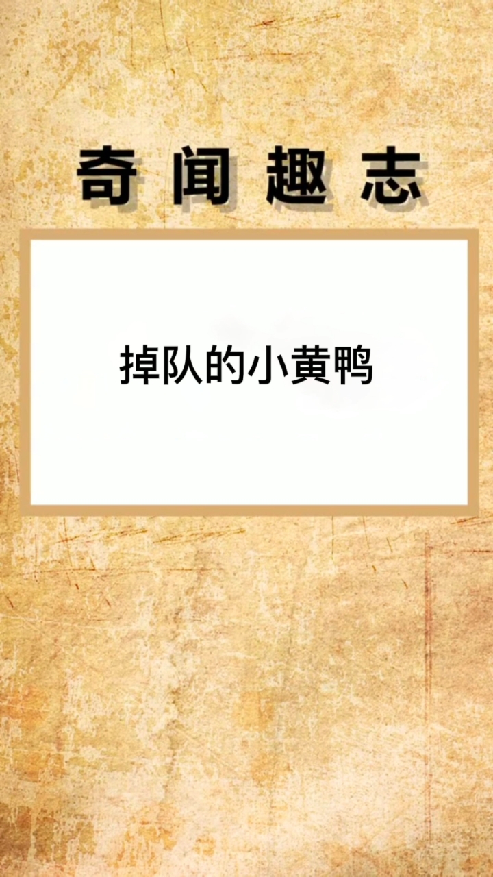 #迷惑行为大赏#头都打掉了