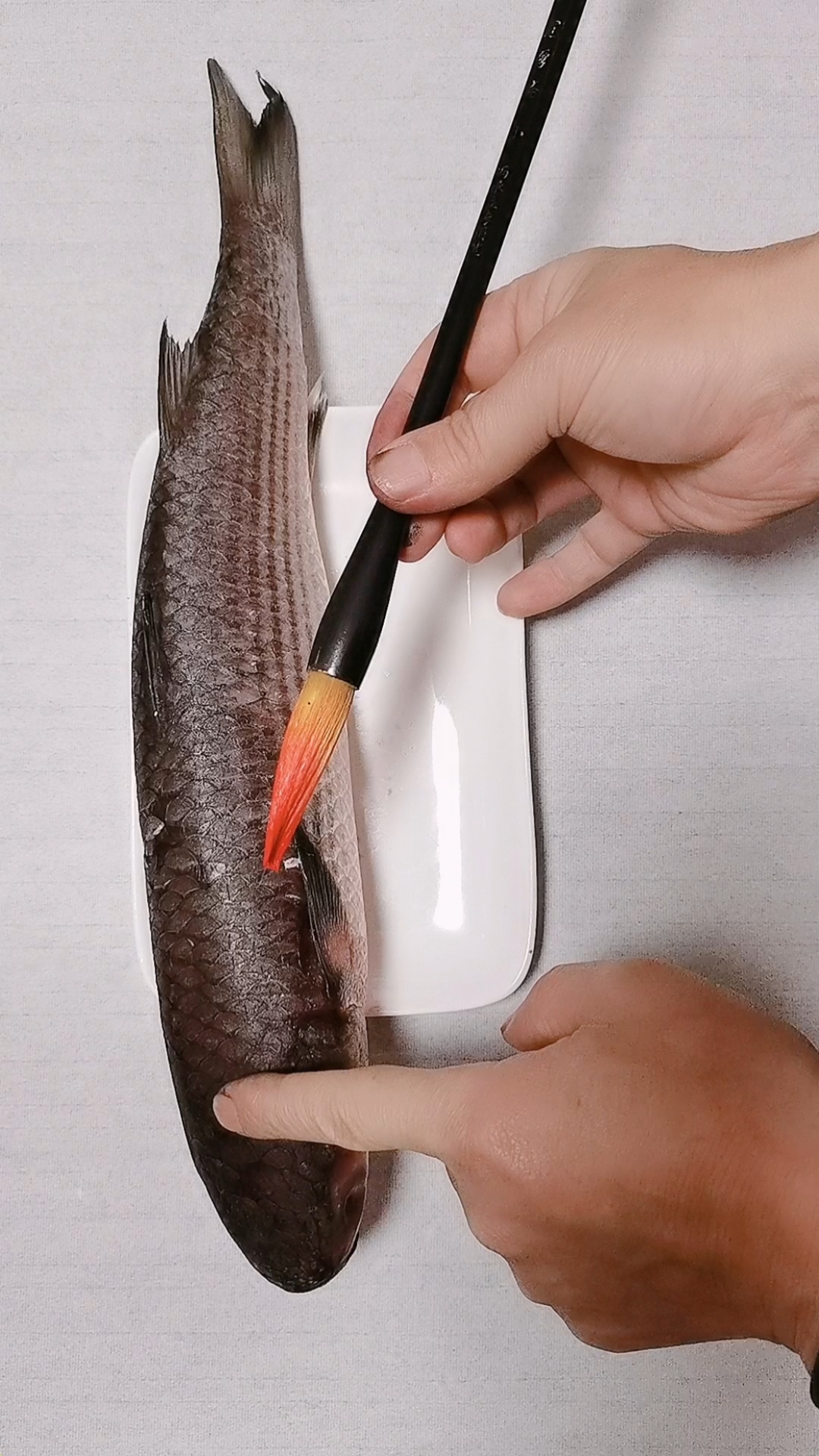 #我要上热门#写实画梭鱼