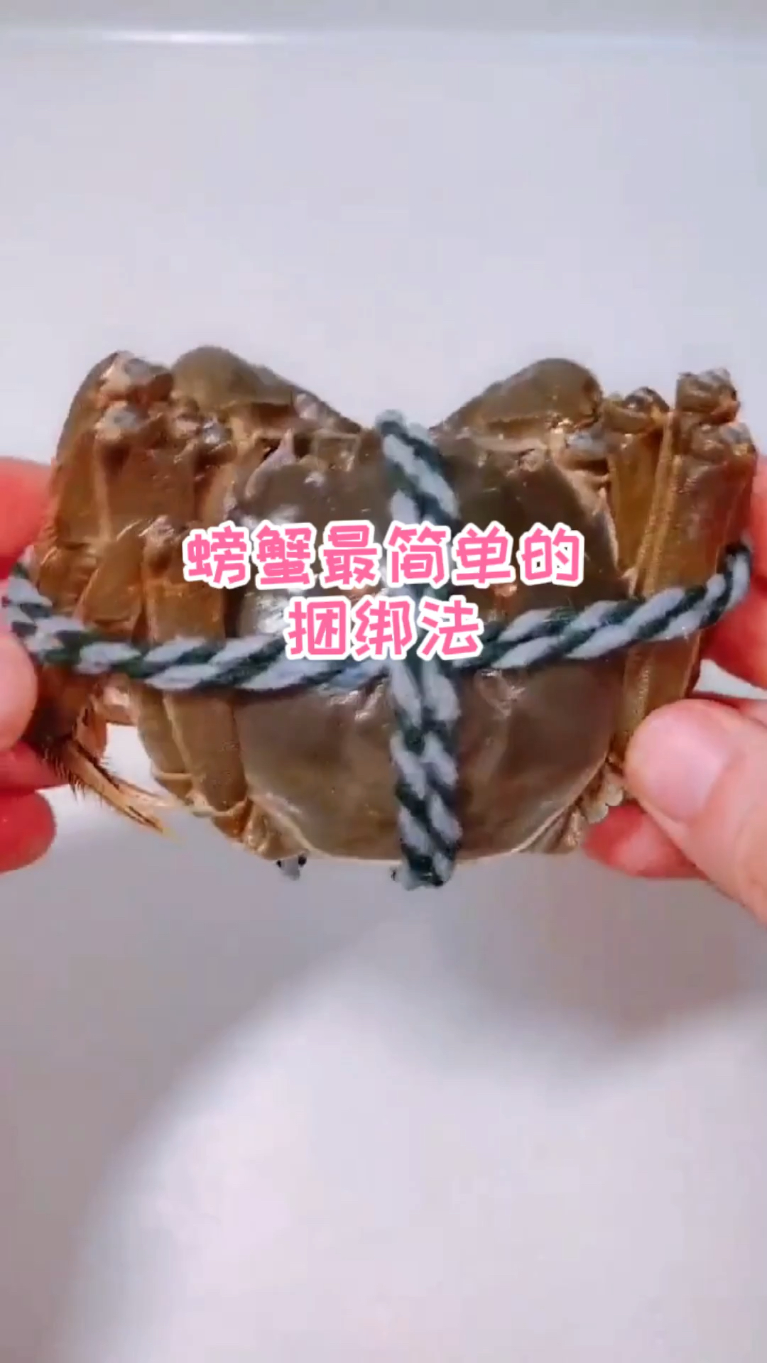 #生活小妙招#螃蟹怎么绑知道吗？教你一招，你学会了吗？