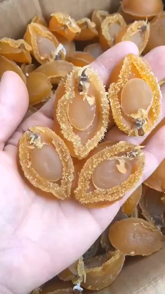 金灿灿的黄金鲍鱼到货啦!好的鲍鱼干,全程无添加肉质甘腴,带点香味~炖汤味道很