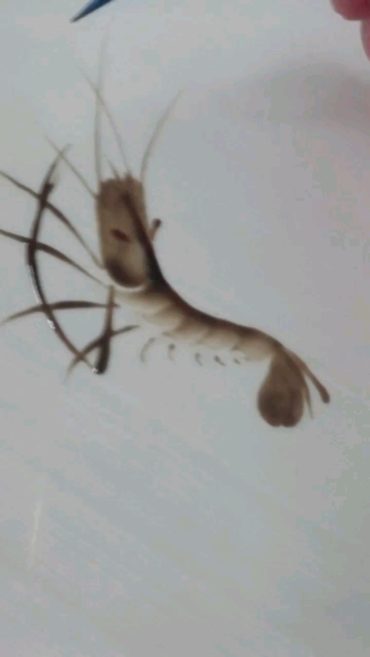 #果酱画#小河虾、瘦不拉几