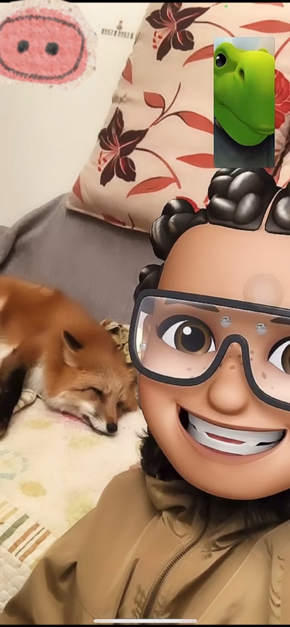 狐狐表示,鱼唇的人类啊,莫要喧哗打扰清修…