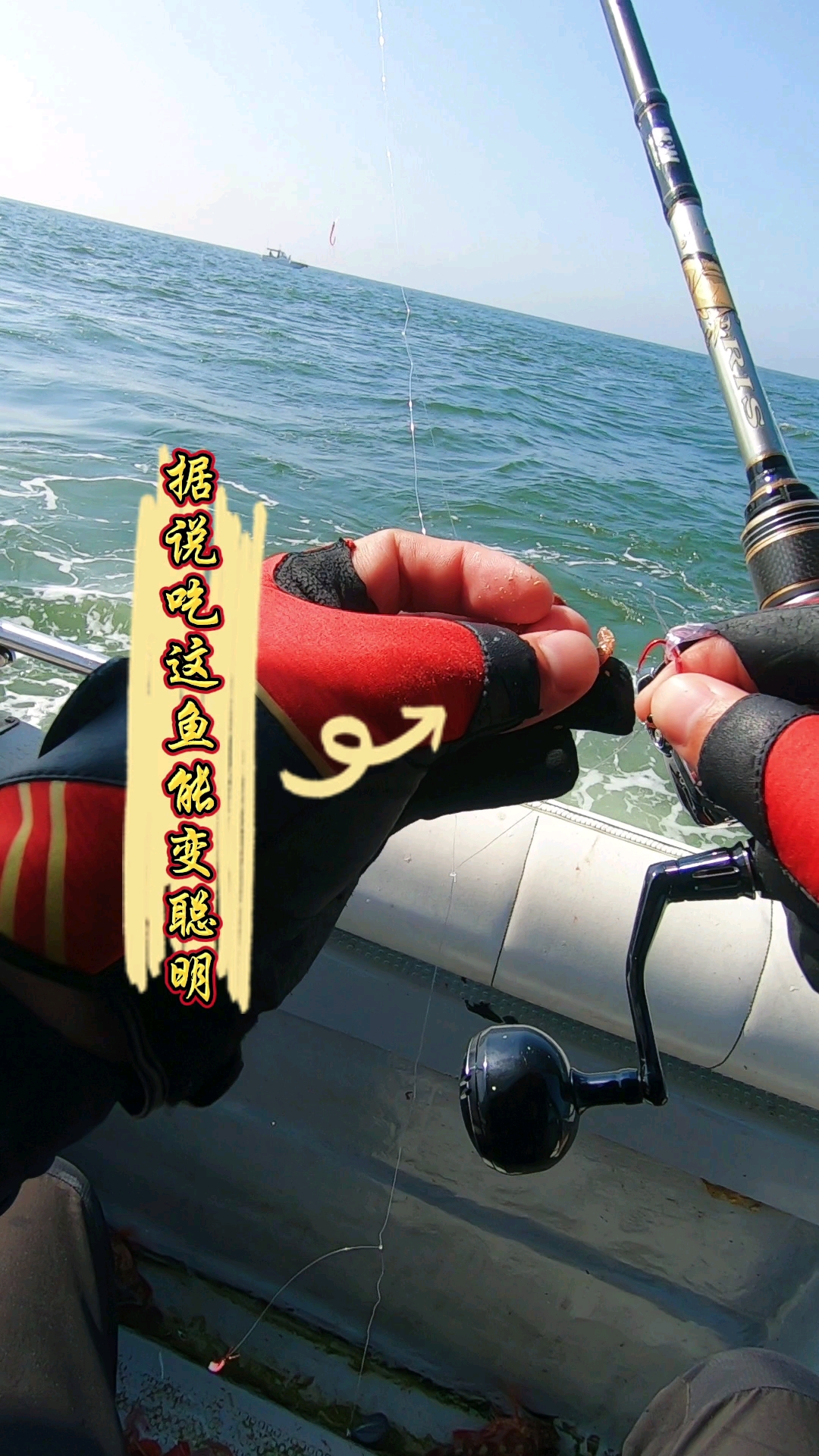 #海钓#什么样的鱼舟山鱼贩子收购价就要120，据说吃了以后能变聪明可以解答小学方程式！