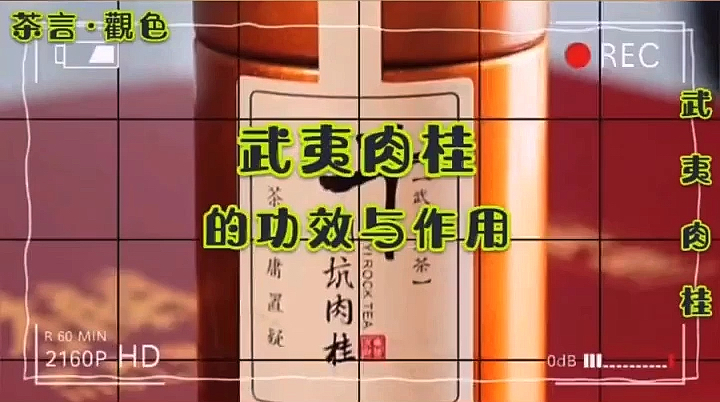 #开学季#武夷肉桂的功效与作用,你了解吗?