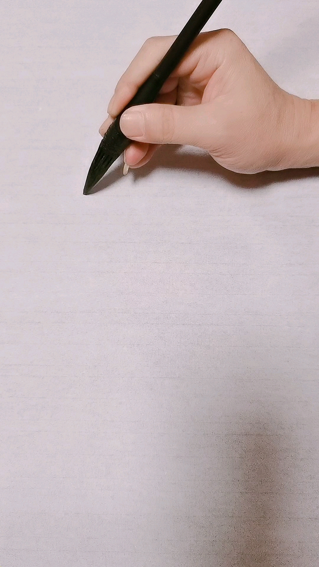 #我要上热门#画出漂亮山鸡的方法