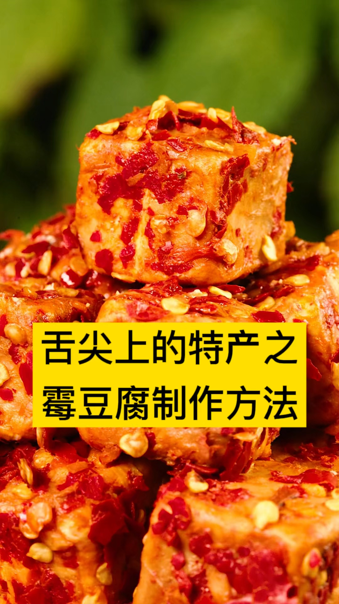 #美食看中国#舌尖上的特产之霉豆腐制作方法,豆腐乳如何制作,湖南正宗霉豆腐做法