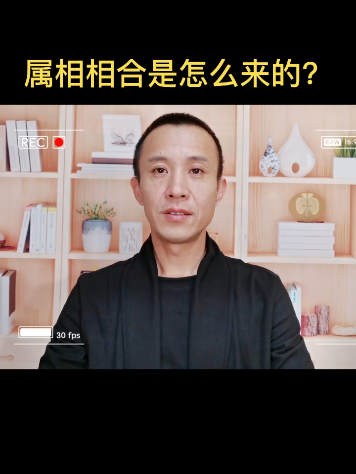 #传统文化#属相相合