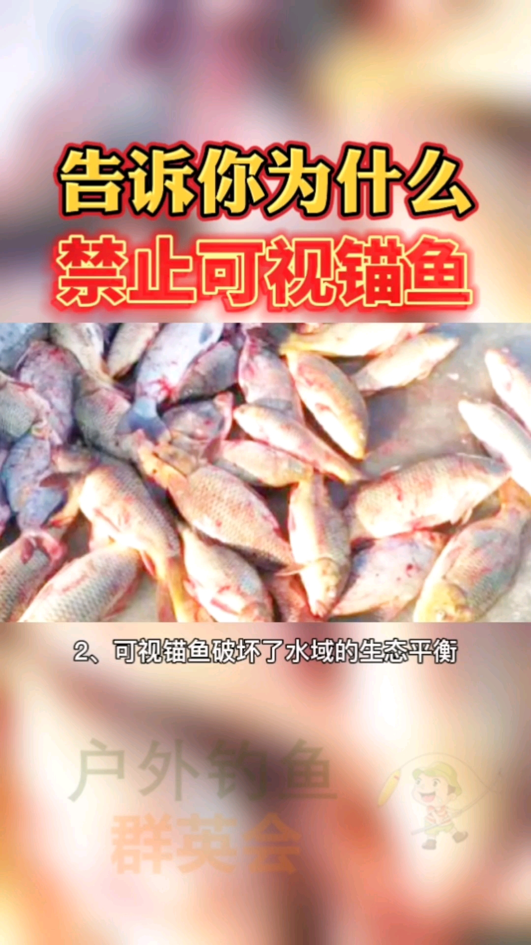 #钓鱼#告诉你为什么要禁止可视锚鱼,可视锚鱼这么多危害你知道吗?