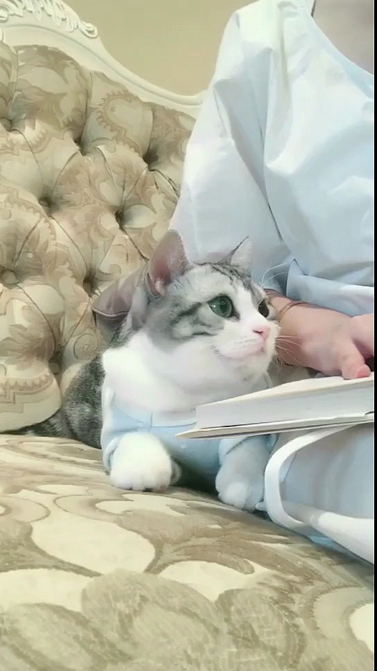 #家有萌宠#震惊,妈妈喝了这杯牛奶后失忆了!