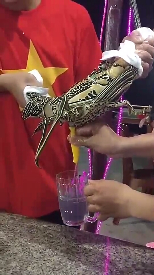 做龙虾也要杀的,要先放血,要不能会影响味道