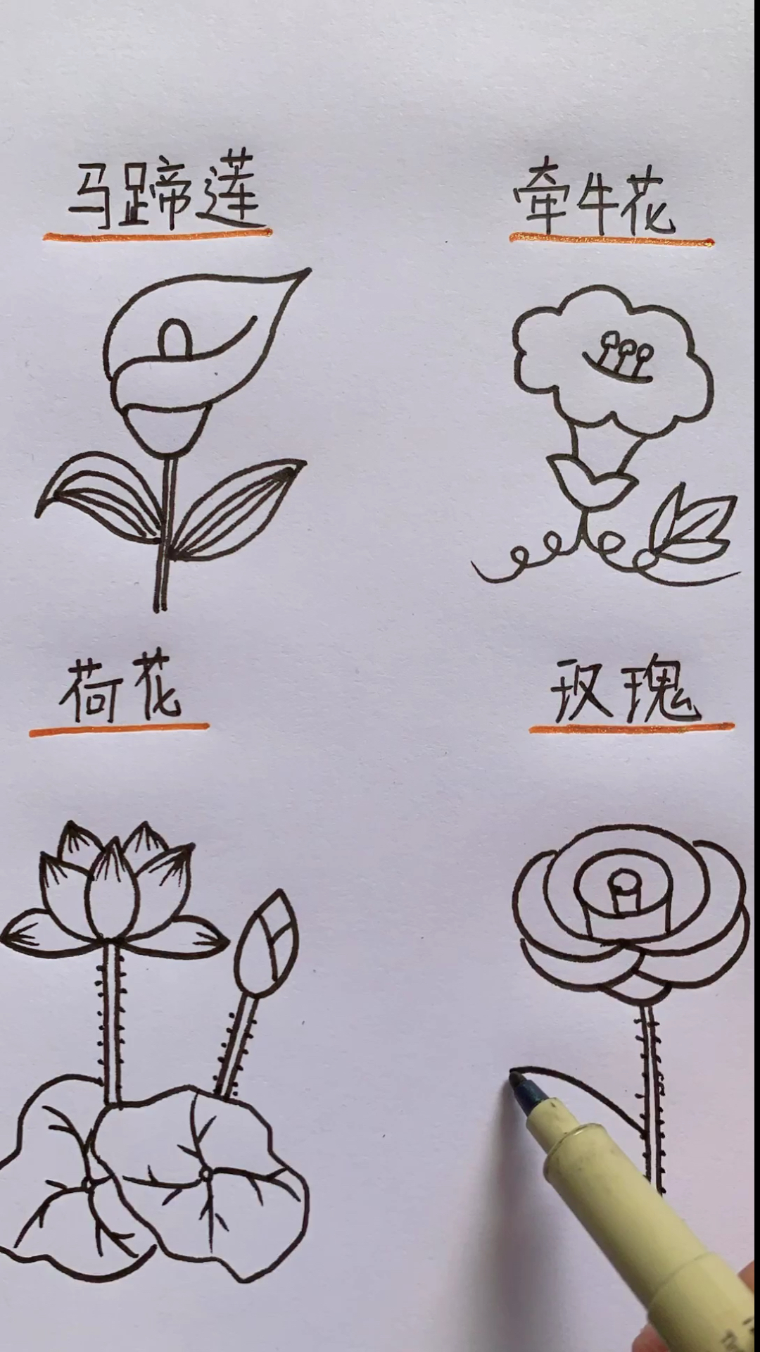 #简笔画#教你画四种美丽的鲜花,一看就会。
