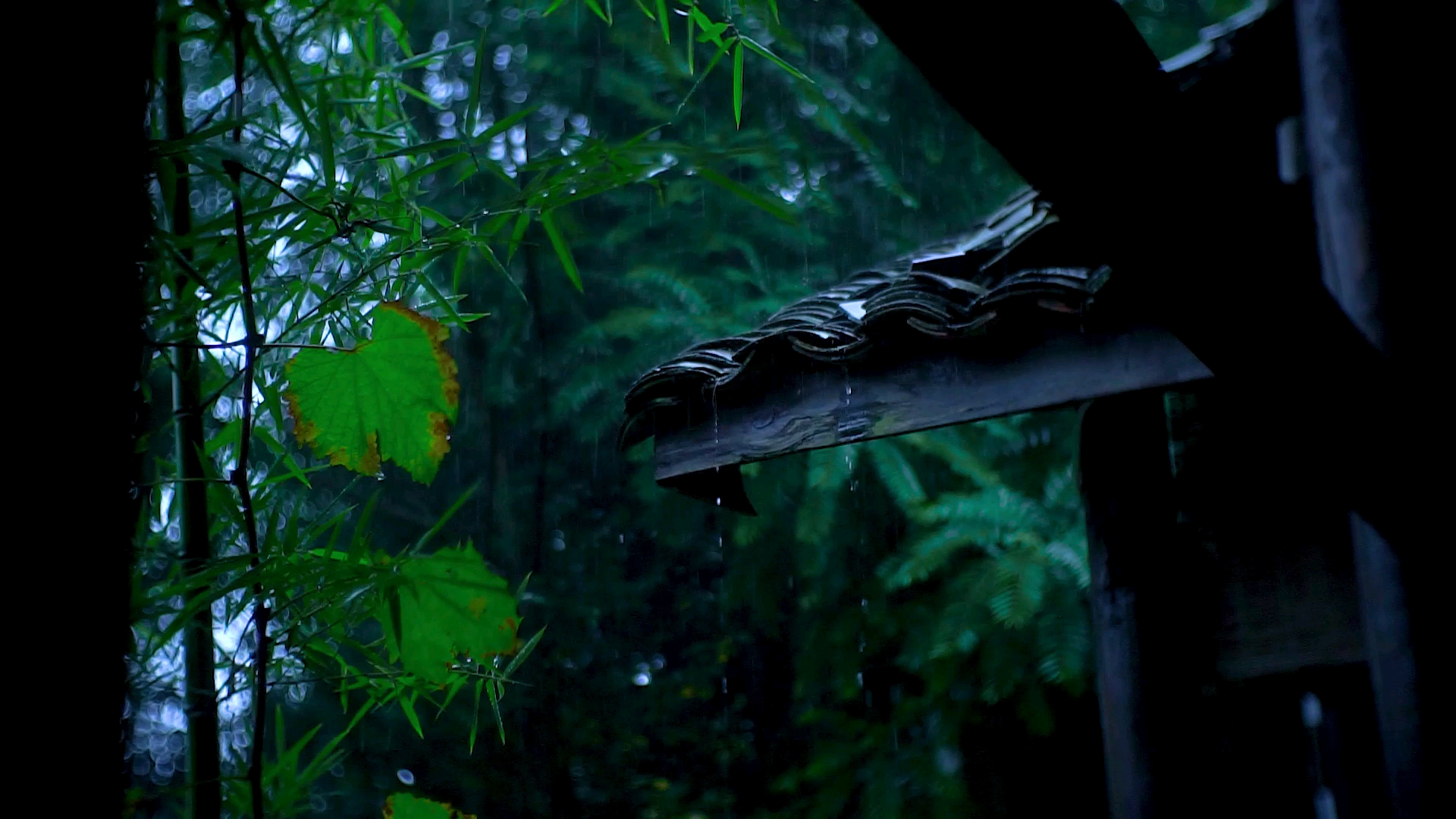 #美食#新鲜竹笋做的牛肉酱实在在太美了,隔壁的熊猫都馋哭了!