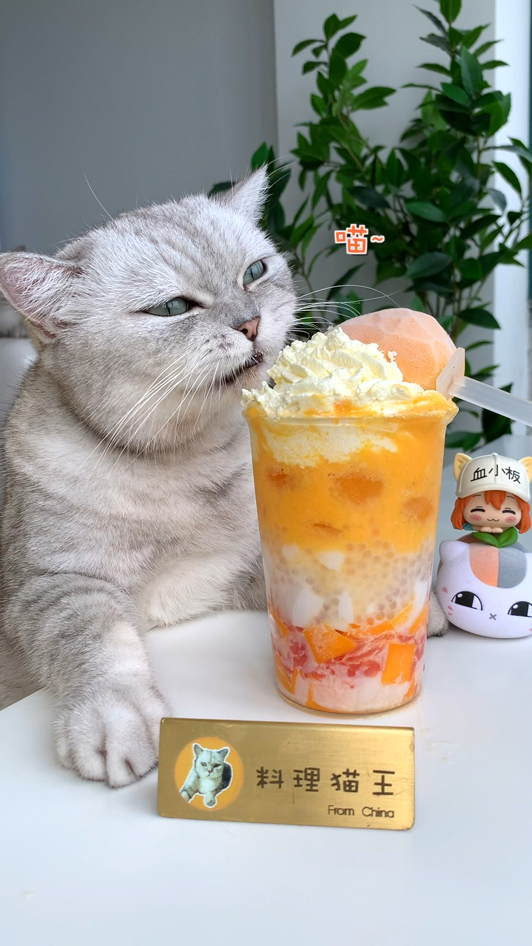 #猫咪日记#杨枝甘露的天花板，整根芒果冰棍超级爽