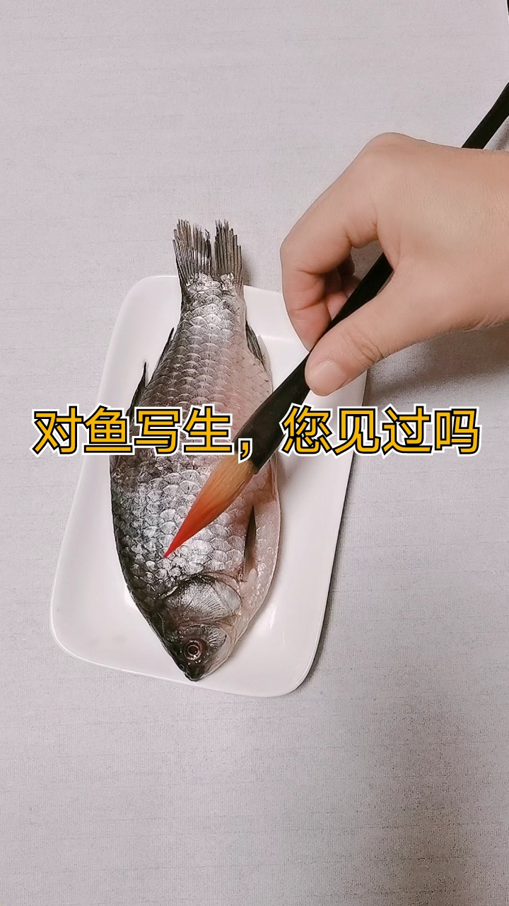 #我要上热门#对鱼写生,您见过吗