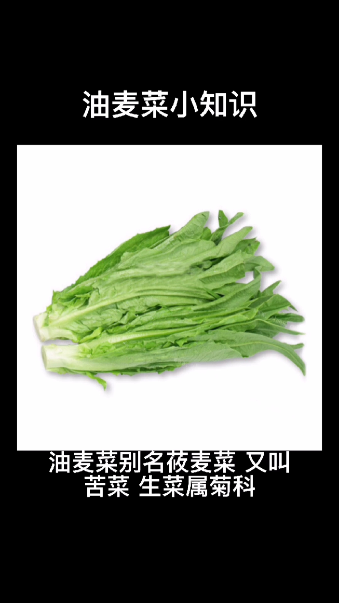 #爱美食爱生活#油麦菜的小知识