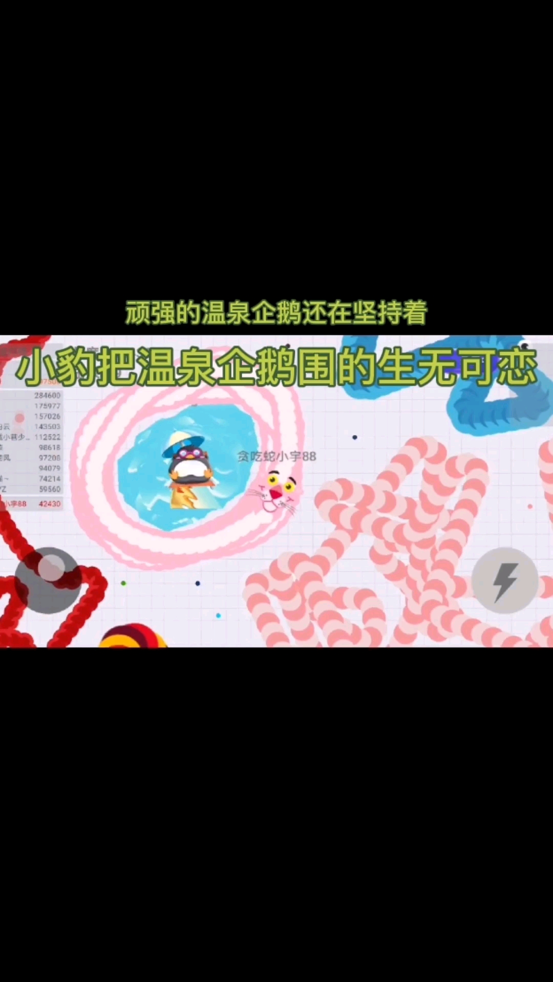 #贪吃蛇#抓住一只温泉企鹅蛇王,盘着它有点透心凉,心飞扬的感觉