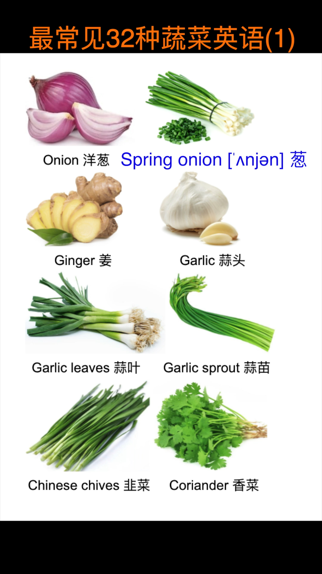 32种蔬菜(1)#英语